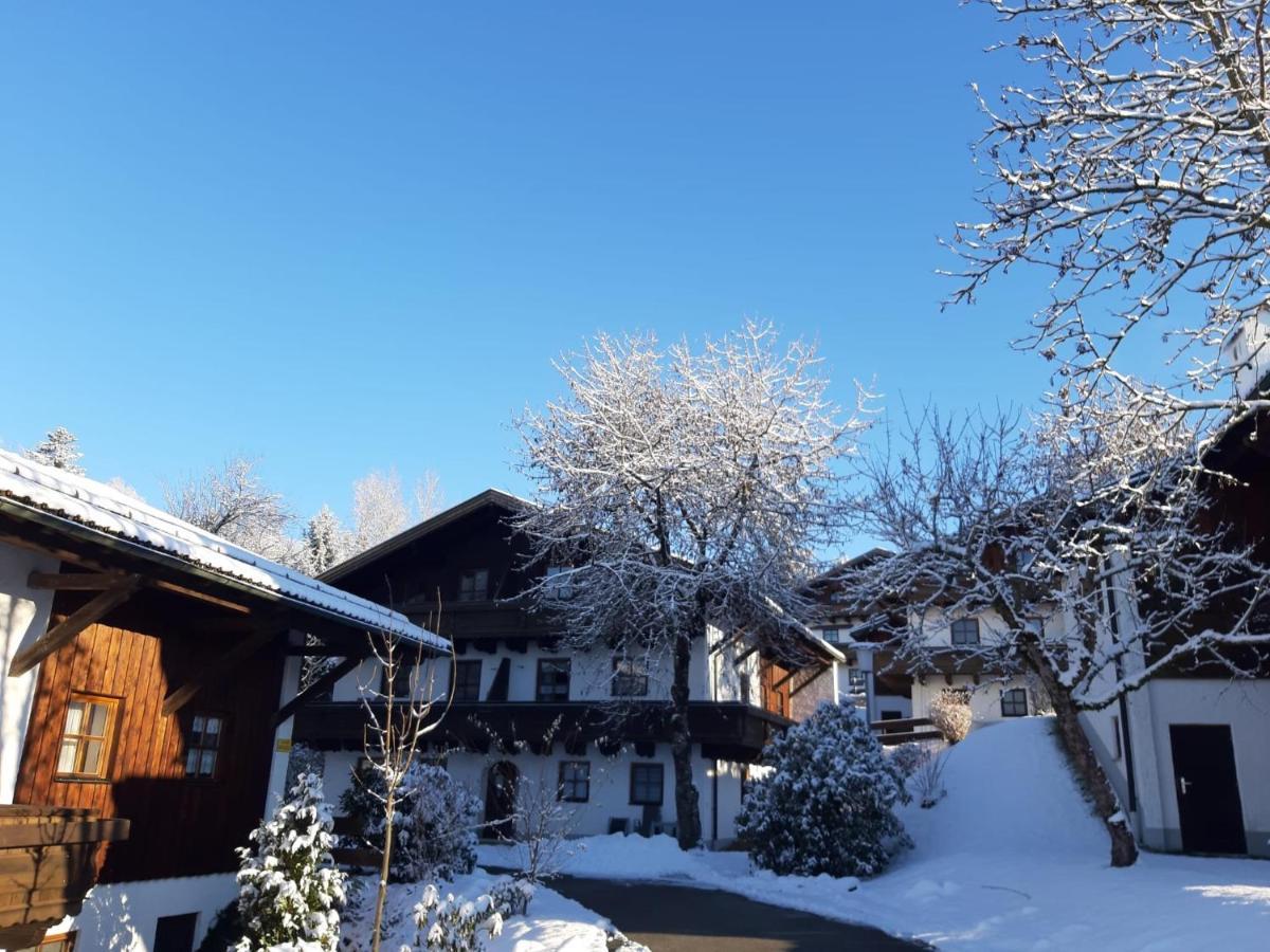 Ferienwohnung Freudensee Im Bayerischen Wald - Pool, Sauna Hauzenberg Extérieur photo